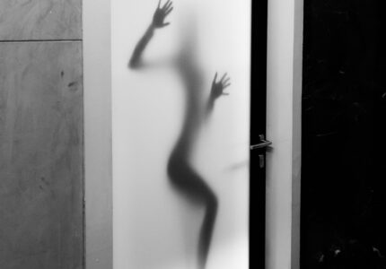Photo by Joe deSousa
