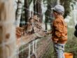 Børn elsker mini-zoos